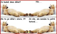 /album/recepty-web/a389946-472573496106777-432238806-n-jpg/
